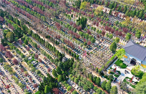 西安市奉正塬殡仪馆的总占地面积和总建筑面积分别是多少？