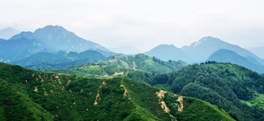 西安灞陵新区墓地价格 电话 地址