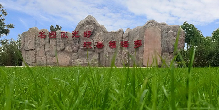 西安墓园预约-西安墓园预约：难题与解决