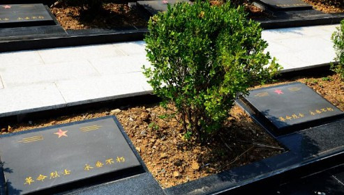 西安公墓扫墓流程视频