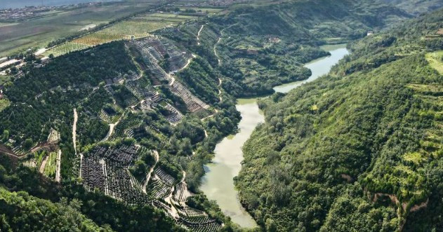 西安寿阳山公墓有生态葬吗多少钱-汉陵墓园