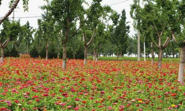 中国重要阴历祭祀节日-慈恩园骨灰堂