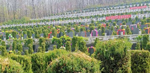 西安高桥墓园公墓园葬地选择 
