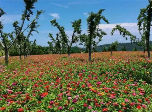 西安九龙山墓地_墓碑_紫光碑