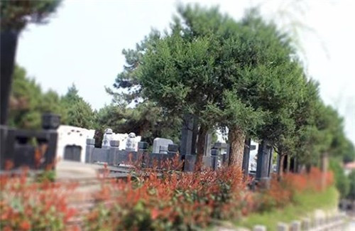 西安霸陵墓园具体价格是多少