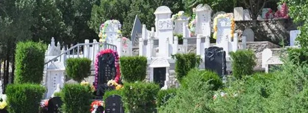 西安霸陵墓园新区视频