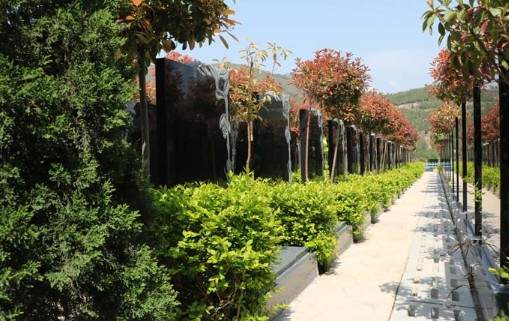 西安汉陵墓园清明节期间祭祀注意事项提示