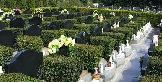 西安寿阳山墓园“寒衣节”祭扫专线暖情开通