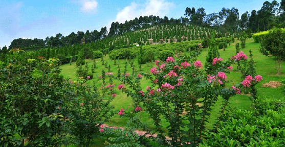 西安寿阳山墓园打造节地生态安葬