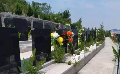 西安经营性公墓的护墓费一次性收取最长不得超过20年