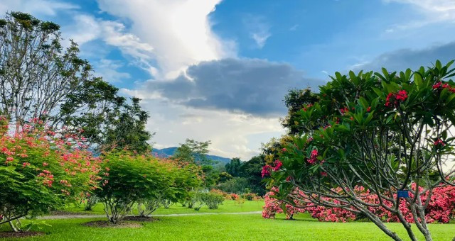 西安陵园景点-西安陵园景点