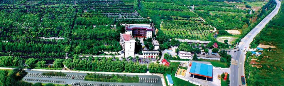 西安霸陵墓园新区地址-西安霸陵墓园新区：雅静中藏深情