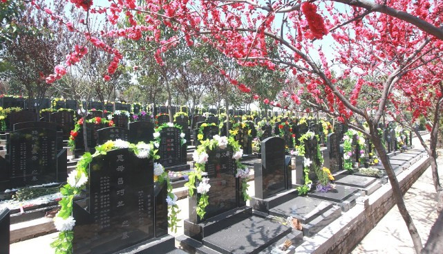西安霸陵墓园的安葬费用是多少呢