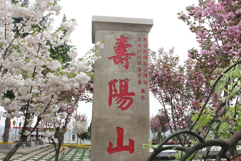 西安寿阳山公墓的电话 具体价格