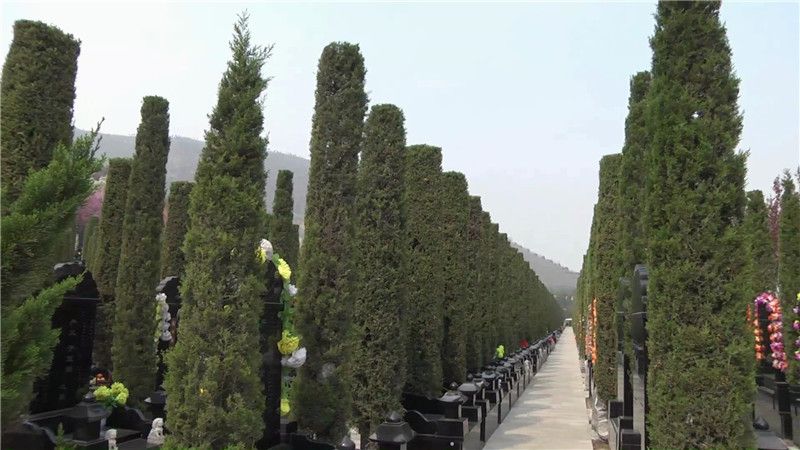 西安霸陵墓园新区怎么样_霸陵墓园新区价格