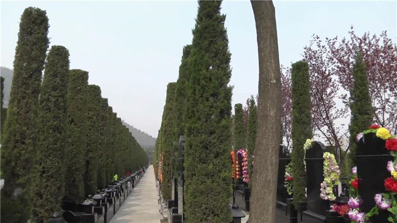 西安霸陵墓园新区标志图片大全