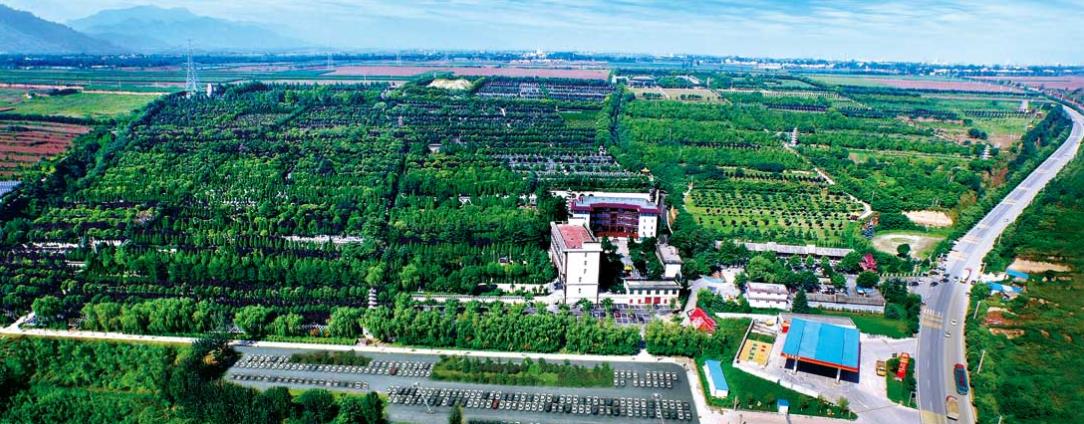 西安市长安区凤栖山人文纪念园