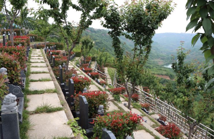 西安市寿阳山墓园樱花苑