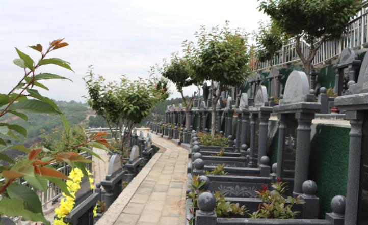 西安市寿阳山墓园樱花苑