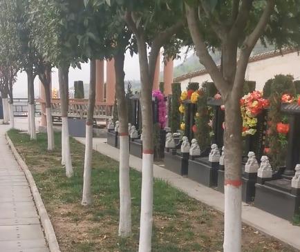 西安霸陵新区宝玉园,视野开阔,绿树成荫!