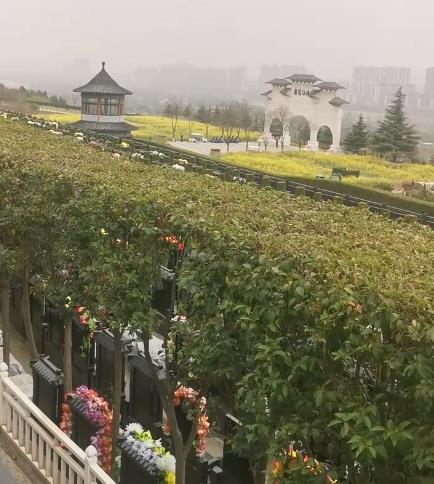西安霸陵新区宝玉园,视野开阔,绿树成荫!
