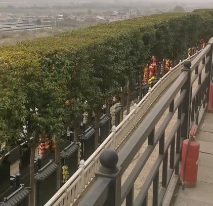 西安霸陵新区宝玉园,视野开阔,绿树成荫!
