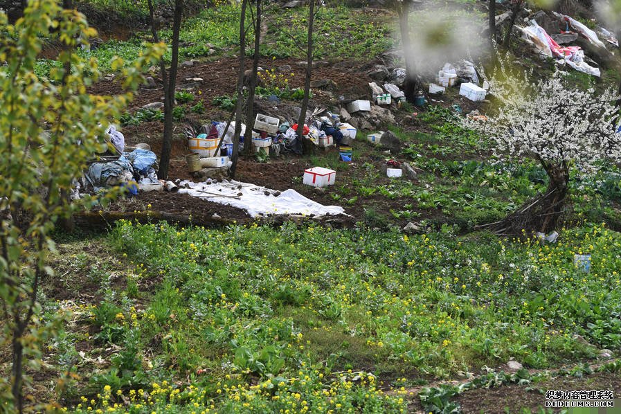 小区后山被私垦成农场 挖平墓地种菜