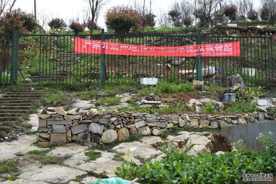 小区后山被私垦成农场 挖平墓地种菜
