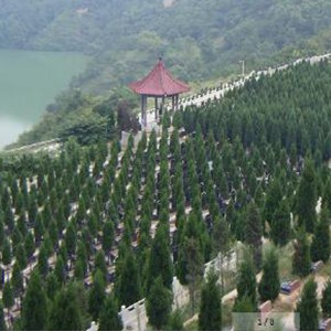 西安价格较便宜的墓地西安陵园