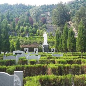 青山绿水寿阳山墓园怎么样,西安市寿阳山墓园