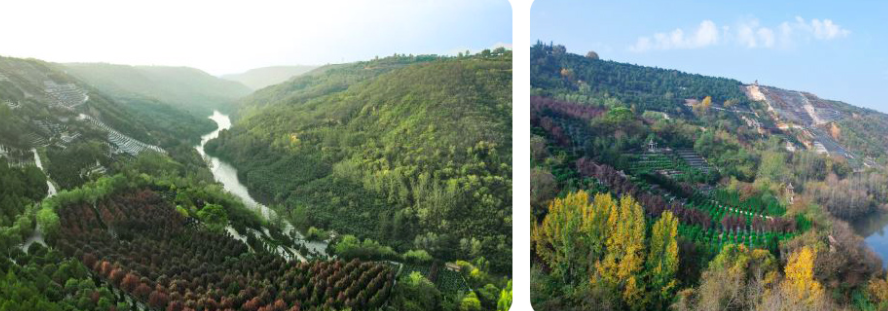 西安寿阳山骨灰墓园地处鲸鱼沟中段，依山傍水，地势高爽