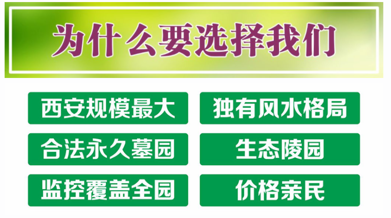 西安寿阳山墓园全程陪同解答,根据客户需求制