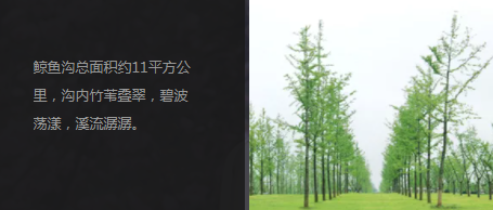 西安市东南郊寿阳山墓园地势高爽
