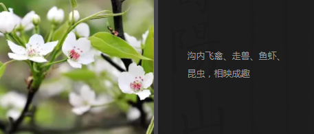 西安市东南郊寿阳山墓园地势高爽